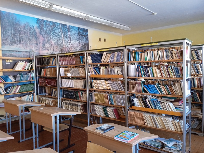 Школьный библиотечно-информационный центр (БИЦ)